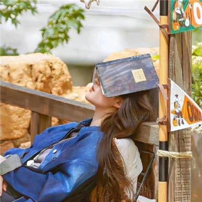 蚊子海岸